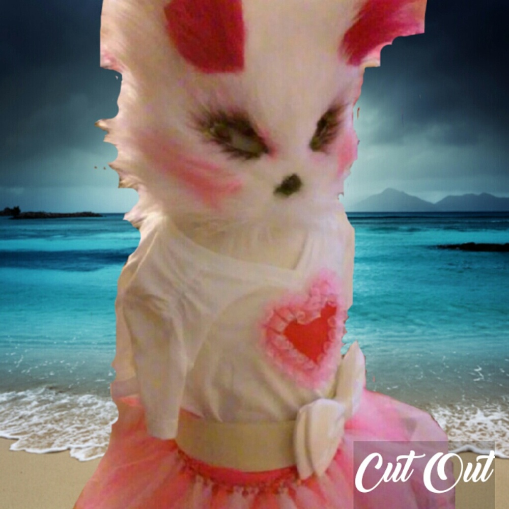Fnaf Mangle Cosplay costume